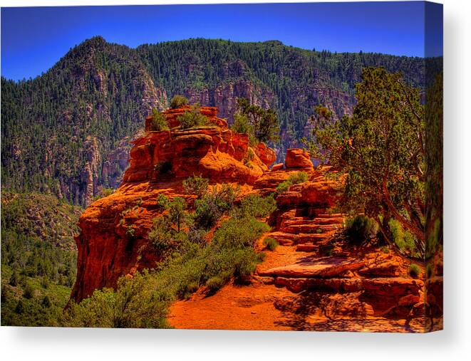 Sedona Canvas Print featuring the photograph The Wedding Rock in Sedona by David Patterson