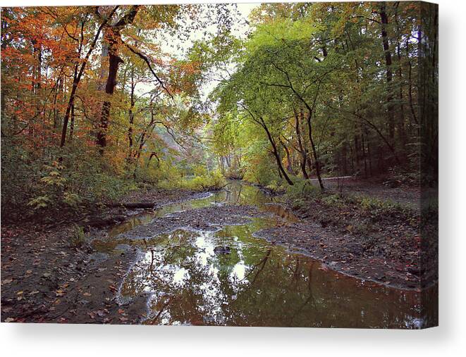 Trees Canvas Print featuring the photograph The Whisper of Fall by John Rivera