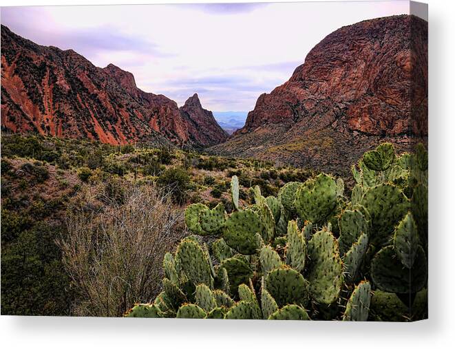 Big Bend National Park Canvas Print featuring the photograph The Window 2 by Judy Vincent