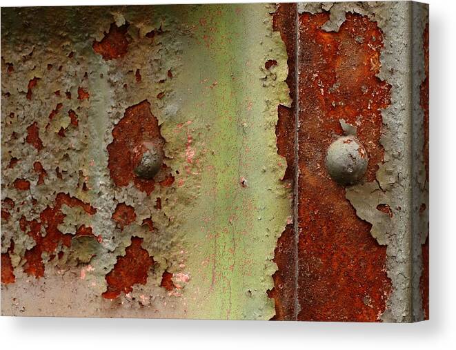 Rust Canvas Print featuring the photograph The Worried Elephant by Kreddible Trout