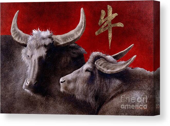 The Year of the Ox Canvas Print 
