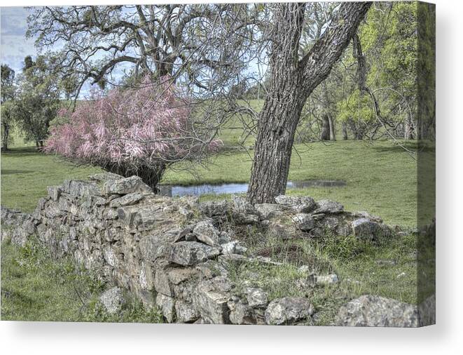  Canvas Print featuring the photograph There Once was a House by Wendy Carrington