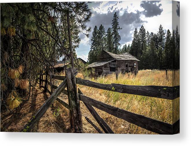 Old House Cabin Homestead Woods Pine Trees Fence Wooden Chicken Coop Spokane Washington Brad Canvas Print featuring the photograph Chicken Coop by Brad Stinson