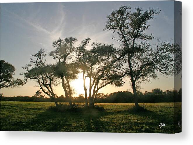Nature Canvas Print featuring the photograph This One Is For You by Phil Mancuso