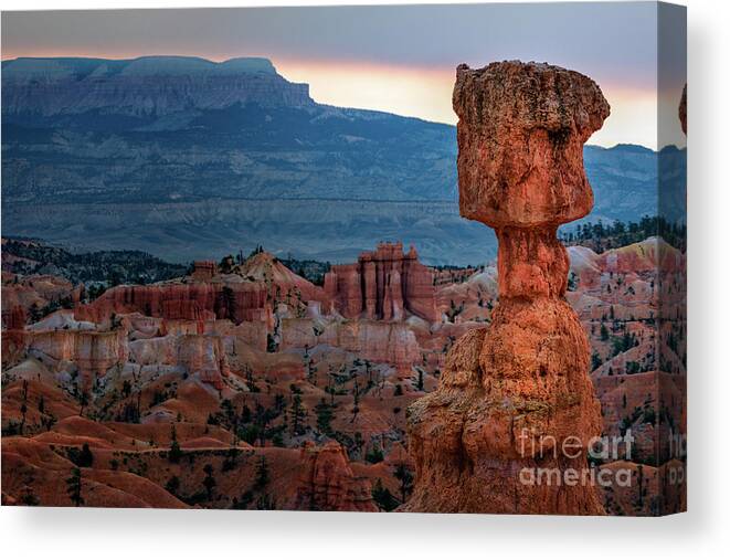 Bryce Canyon National Park Canvas Print featuring the photograph Thor's Hammer by Doug Sturgess
