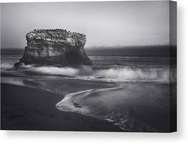 Natural Bridges State Beach Canvas Print featuring the photograph Though the Tides May Turn by Laurie Search