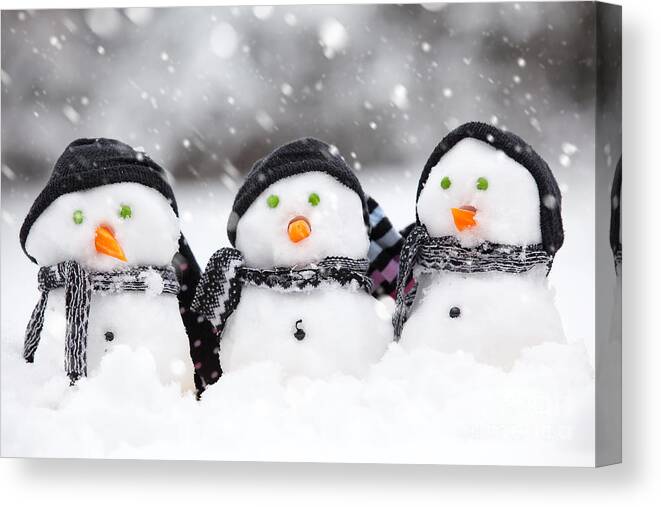 Christmas Canvas Print featuring the photograph Three cute snowmen by Simon Bratt