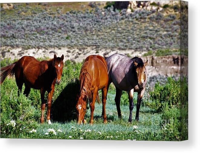 Horses Canvas Print featuring the photograph Three Together by Merle Grenz