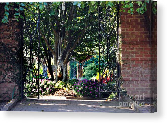 Scenic Tours Canvas Print featuring the photograph Through Here Alice by Skip Willits