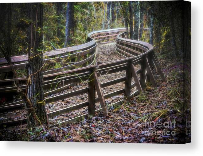 Pathway Canvas Print featuring the photograph Through The Woods by Ken Johnson