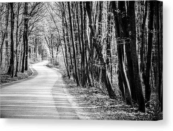 Woods Canvas Print featuring the photograph Through the Woods. by Tito Slack