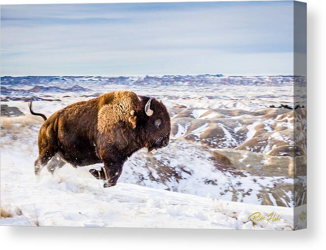 South Dakota Canvas Print featuring the photograph Thunder in the Snow by Rikk Flohr