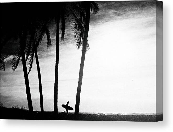 Surfing Canvas Print featuring the photograph Ticla Palms by Nik West