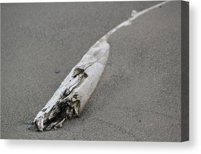Tidal Canvas Print featuring the photograph Tidal Wood - 7082 by Annekathrin Hansen