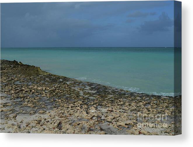 Lava-rock Canvas Print featuring the photograph Tide Coming Over the Lava Rock Along the Coast by DejaVu Designs