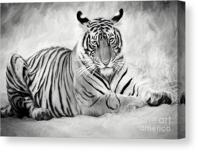Wildlife Canvas Print featuring the digital art Tiger cub at rest by Pravine Chester