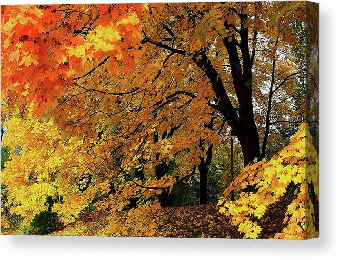 Time Of The Season Canvas Print featuring the photograph Time of the Season by Ellen Henneke