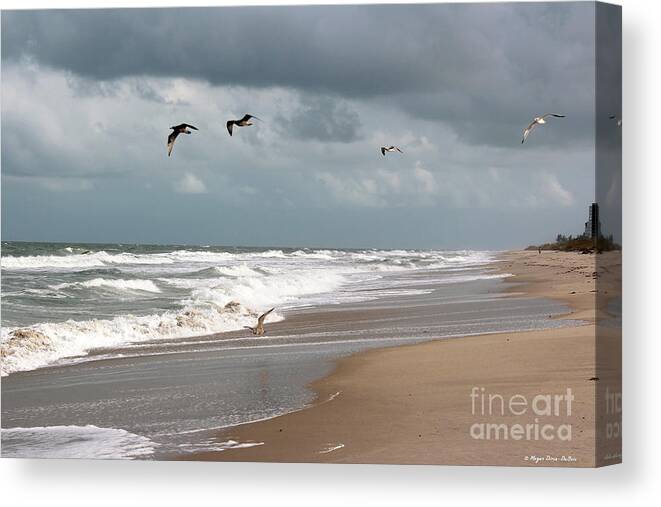 At The Beach Canvas Print featuring the photograph Timeless by Megan Dirsa-DuBois