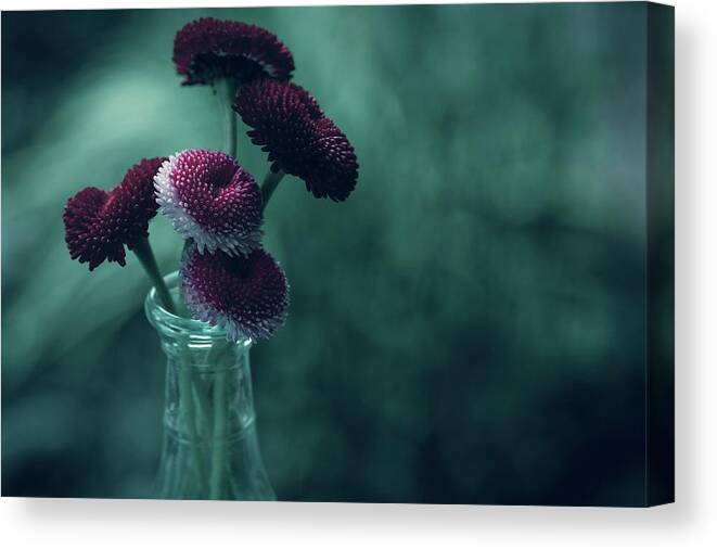 Nature Canvas Print featuring the photograph Tiny Pink Bouquet by Bonnie Bruno