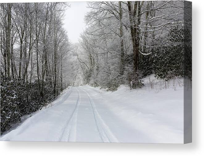 Snow Canvas Print featuring the photograph Tire Tracks In Fresh Snow by D K Wall