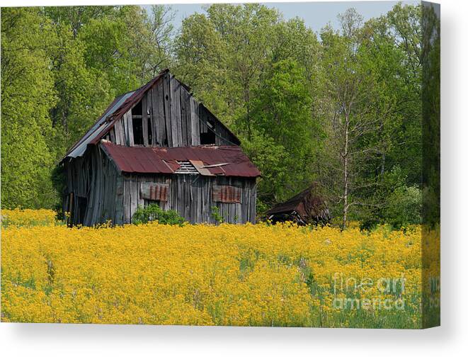 Barn Canvas Print featuring the photograph Tired Indiana Barn - D010095 by Daniel Dempster