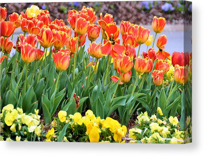 Floral Canvas Print featuring the photograph To Endure by Jan Amiss Photography