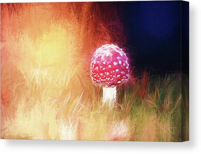 Toadstool Canvas Print featuring the photograph Toadstool mind by Jaroslav Buna