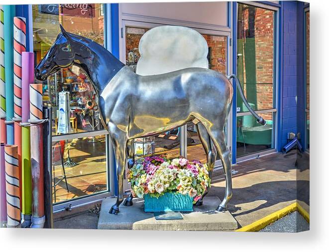 Louisville Canvas Print featuring the photograph Toaster Horse by FineArtRoyal Joshua Mimbs