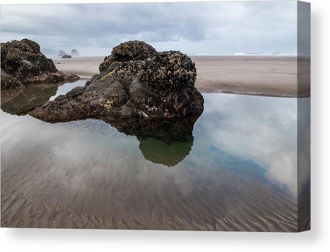 Beach Canvas Print featuring the photograph Tolovana Beach at Low Tide by Robert Potts
