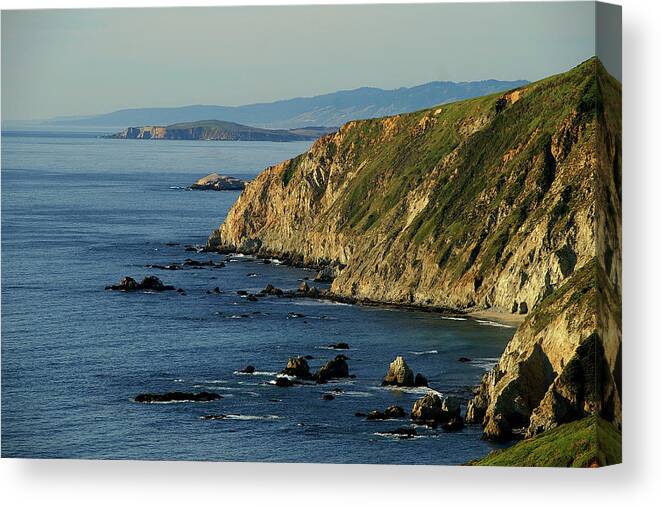 Tomales Point Canvas Print featuring the photograph Tomales Point by David Armentrout