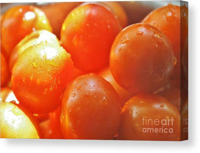 Fruit Canvas Print featuring the photograph Tomato Tears by Barbara S Nickerson