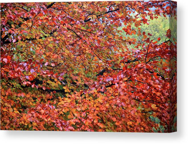 Hebden Canvas Print featuring the photograph Too Soon For Fall by Jez C Self
