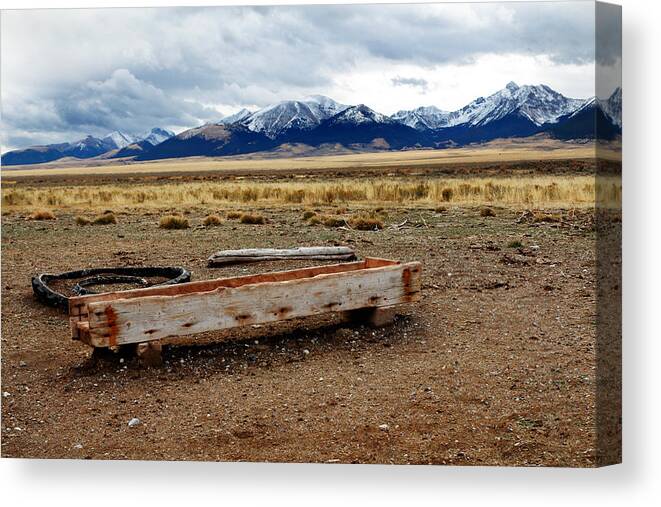 High Canvas Print featuring the photograph Tough by Nicholas Blackwell