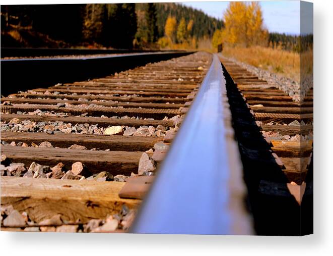 Rail Canvas Print featuring the photograph On The Right Track To Nature by Fiona Kennard