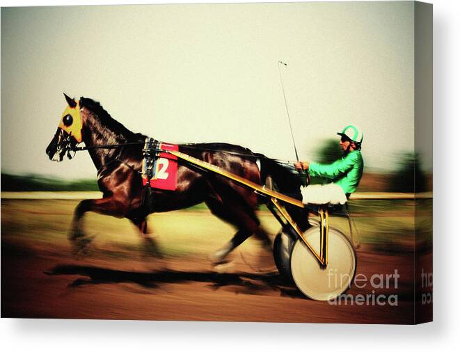 Horse Canvas Print featuring the photograph Traditional buggy race by Dimitar Hristov