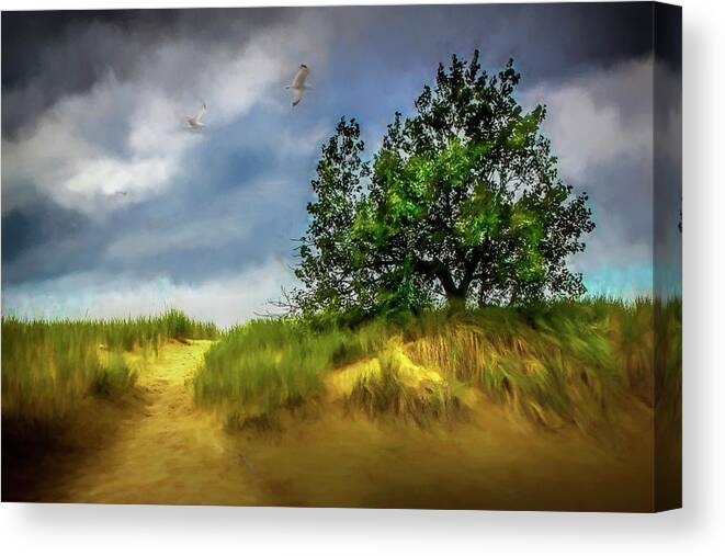Art Canvas Print featuring the photograph Trail through the dunes painterly version by Randall Nyhof
