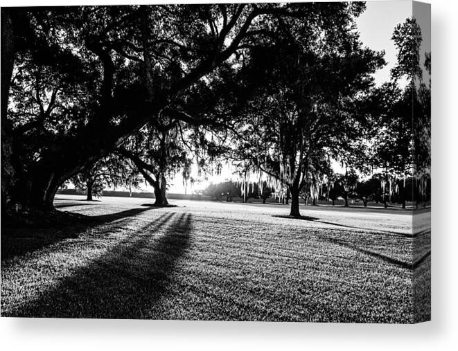 Oak Canvas Print featuring the photograph Tranquility Amongst the Oaks by Scott Pellegrin