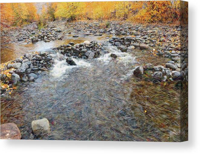 River Canvas Print featuring the photograph Tranquille Creek # 2 by Ed Hall