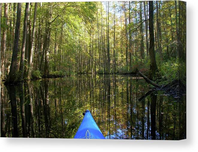 Fall Canvas Print featuring the photograph Trap Pond Cypress #04299 by Raymond Magnani