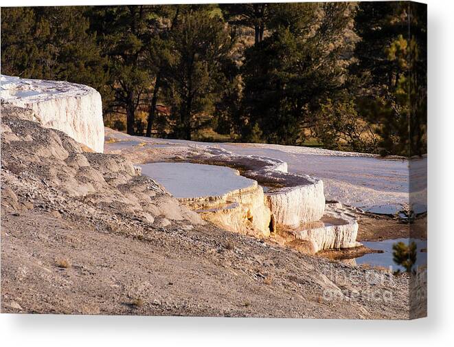 Mammoth Hot Springs Canvas Print featuring the photograph Travertine Terrace Pools Two by Bob Phillips