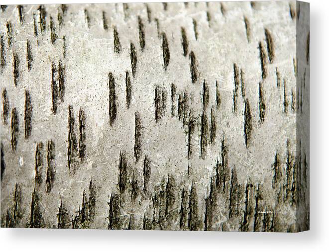 Tree Bark Canvas Print featuring the photograph Tree Bark Abstract by Christina Rollo