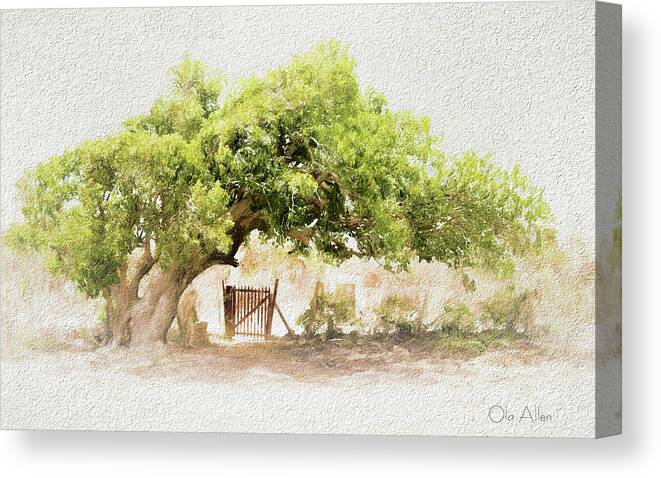 Tree Canvas Print featuring the photograph Tree by the Gate by Ola Allen