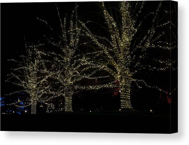 Christmas Tree Canvas Print featuring the photograph Tree Lights by Louis Dallara
