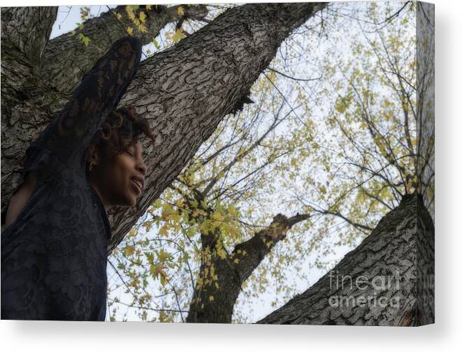 Model Canvas Print featuring the photograph Tree lover by Dan Friend