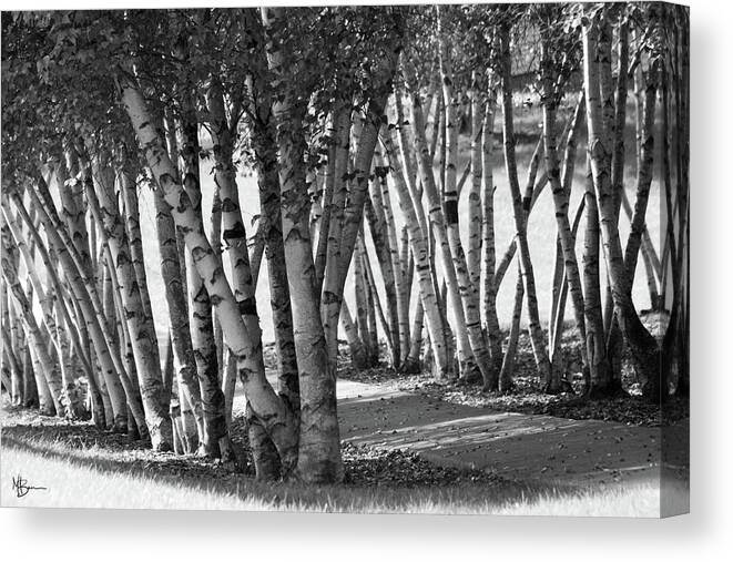 Trees Canvas Print featuring the photograph Treelines by Mary Anne Delgado