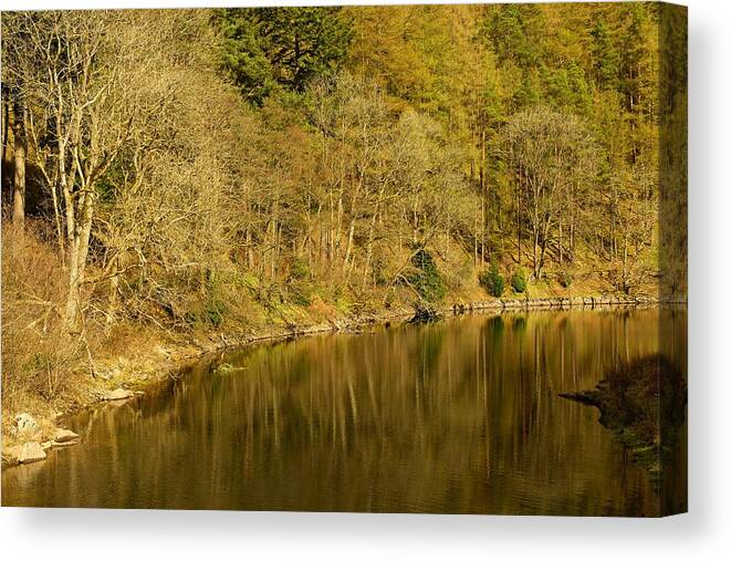 Golden Canvas Print featuring the photograph Trees and water by Stephen Taylor