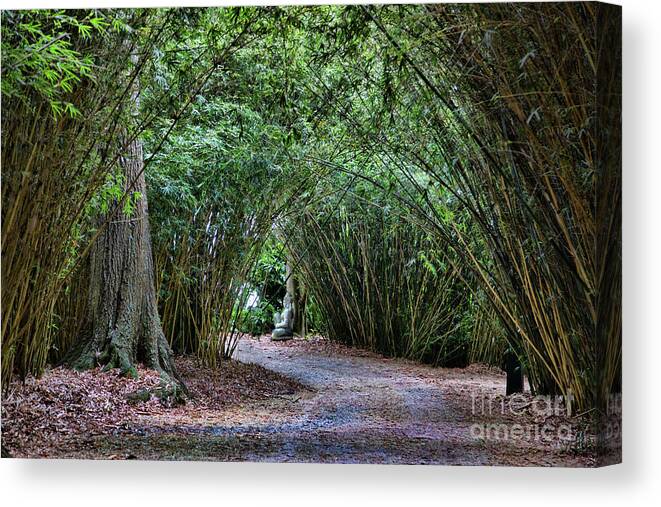 Landscape Canvas Print featuring the photograph Trees Over Path Buddha Louisiana by Chuck Kuhn