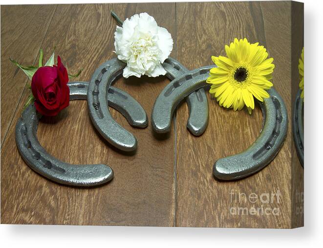 Triple Crown Canvas Print featuring the photograph Triple Crown Flowers on Horseshoes by Karen Foley