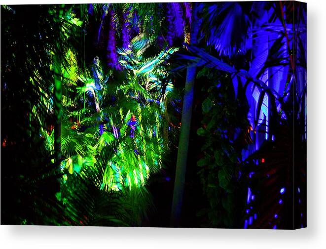 Light Show Canvas Print featuring the photograph Into the Psychedelic Jungle by Richard Ortolano