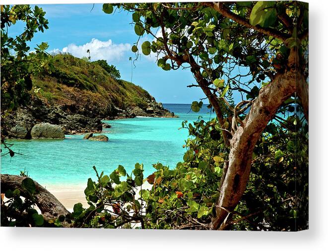 Trunk Bay Canvas Print featuring the photograph Trunk Bay Island by Harry Spitz
